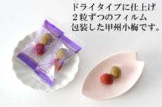 甲州小梅 10kg 【特売第ニ弾】 甲州小梅 | 梅干屋 甲州小梅｜山梨農産食品株式会社